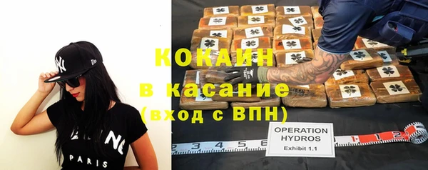 дмт Алексин