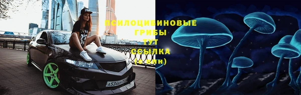 дмт Алексин