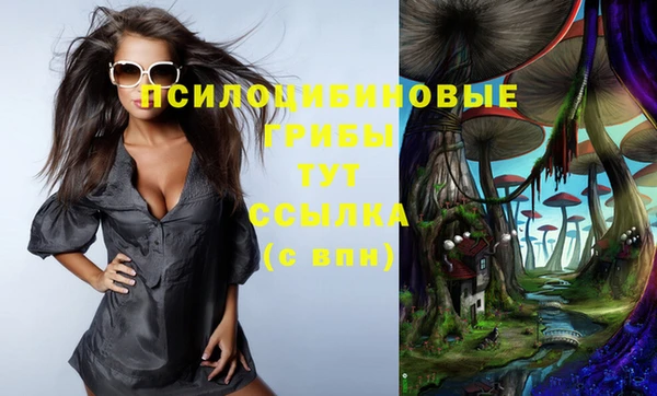 PSILOCYBIN Абдулино