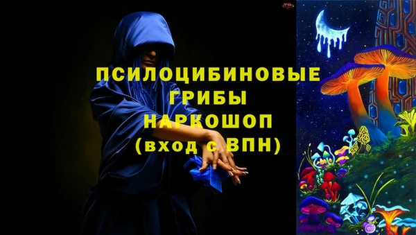 дмт Алексин
