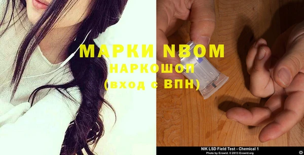 сатива Аркадак