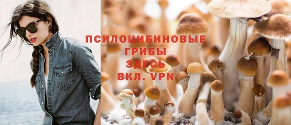 дмт Алексин
