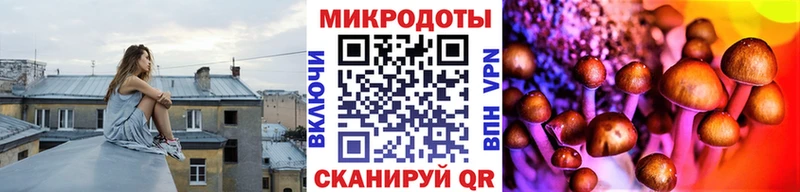 Галлюциногенные грибы MAGIC MUSHROOMS  Цимлянск 